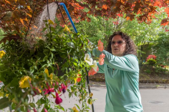 हैंगिंग बास्केट में खाद और उर्वरक कैसे दें - How To Fertilize Hanging Baskets Plants In Hindi